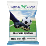 Trawa Iława Mieszanka Sportowa 1kg nasiona Najlepsze Trawy z Iławy