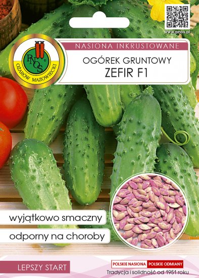 Ogórek gruntowy Zefir F1 zaprawiany 5g PNOS - Kliknij na obrazek aby go zamknąć