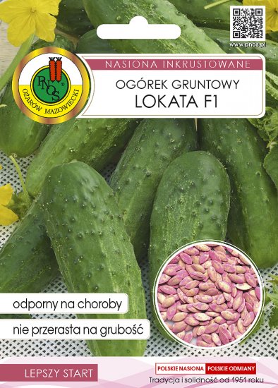 Ogórek Lokata F1 gruntowy zaprawiany 5g PNOS - Kliknij na obrazek aby go zamknąć