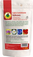 Łąka Kwiatowa Łąka Kwietna Bylinowa wieloletnia PNOS Ożarów 500g