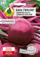 Burak Czerwona Kula 2 nasiona na taśmie PNOS 6m