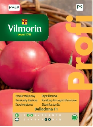 Pomidor Belladona szklarniowy do szklarni i tuneli F1 nasiona 0,5g VILMORIN - Kliknij na obrazek aby go zamknąć