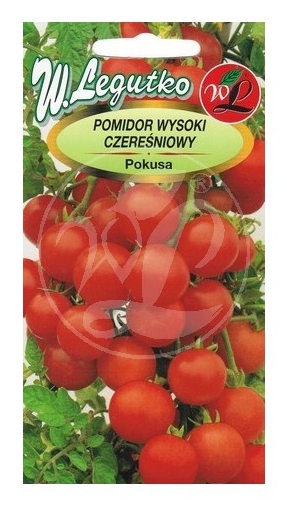 Pomidor Pokusa koktajlowy czereśniowy na balkon taras nasiona 0,6g LEGUTKO - Kliknij na obrazek aby go zamknąć